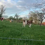 Domaine Du Rosiere Favieres (Lorraine)