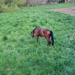 홈스테이 Domaine Du Rosiere *