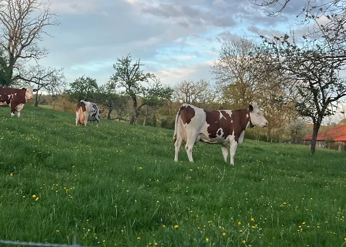 Domaine Du Rosiere Favieres (Lorraine)