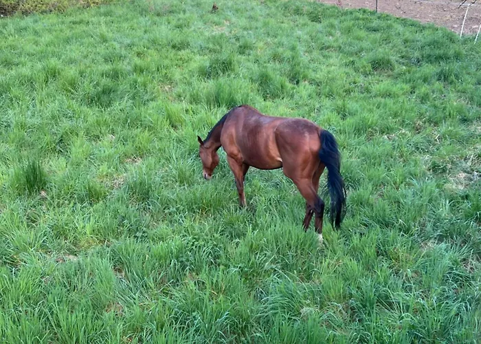 홈스테이 Domaine Du Rosiere *